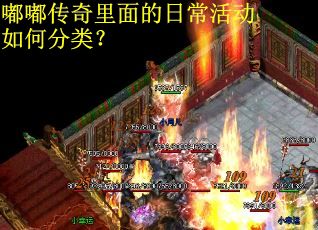 嘟嘟传奇里面的日常活动如何分类？