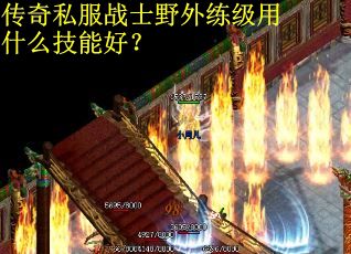 传奇私服战士野外练级用什么技能好？