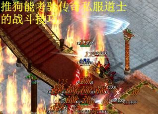推狗能考验传奇私服道士的战斗技巧