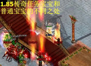 1.85传奇任务宝宝和普通宝宝的不同之处