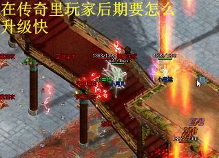 在传奇里玩家后期要怎么升级快