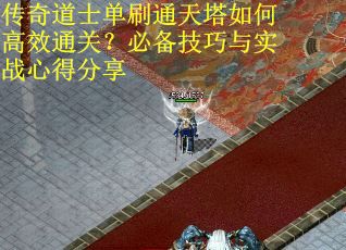 传奇道士单刷通天塔如何高效通关？必备技巧与实战心得分享