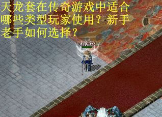 天龙套在传奇游戏中适合哪些类型玩家使用？新手老手如何选择？