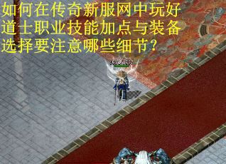 如何在传奇新服网中玩好道士职业技能加点与装备选择要注意哪些细节？