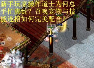 新手玩家操作道士为何总手忙脚乱？召唤宠物与技能连招如何完美配合？