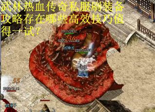武林热血传奇私服刷装备攻略存在哪些高效技巧值得一试？