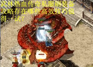 武林热血传奇私服刷装备攻略存在哪些高效技巧值得一试？