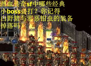 热血传奇sf中哪些经典小boss必打？你记得白野猪与邪恶钳虫的装备掉落吗？