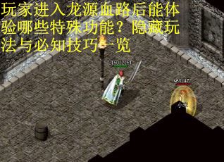 玩家进入龙源血路后能体验哪些特殊功能？隐藏玩法与必知技巧一览