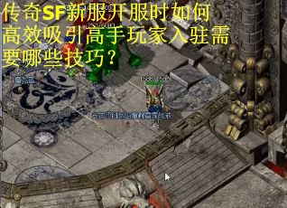 传奇SF新服开服时如何高效吸引高手玩家入驻需要哪些技巧？