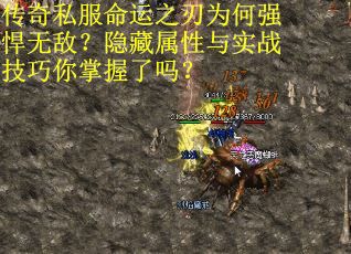 传奇私服命运之刃为何强悍无敌？隐藏属性与实战技巧你掌握了吗？