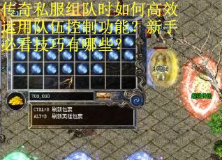 传奇私服组队时如何高效运用队伍控制功能？新手必看技巧有哪些？