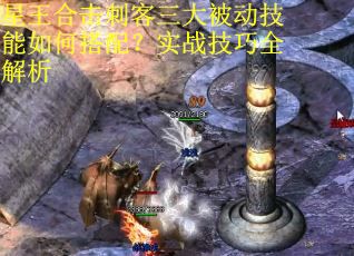 星王合击刺客三大被动技能如何搭配？实战技巧全解析