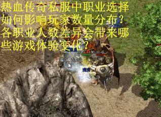 热血传奇私服中职业选择如何影响玩家数量分布？各职业人数差异会带来哪些游戏体验变化？