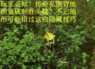 玩家必知！传奇私服背地图竟成制胜关键？不记地形可能错过这些隐藏技巧
