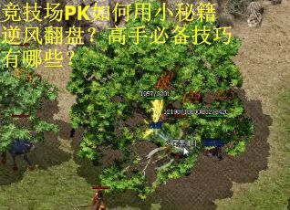 竞技场PK如何用小秘籍逆风翻盘？高手必备技巧有哪些？