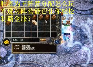 胜者为王阵营分配怎么玩？选对阵营能否让你轻松制霸全服？