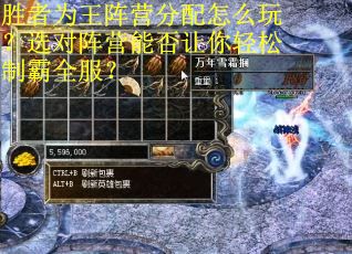 胜者为王阵营分配怎么玩？选对阵营能否让你轻松制霸全服？