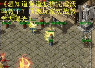 《想知道狗道怎样完虐沃玛教主？顶级玩家实战教学大曝光》