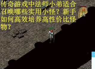 传奇游戏中法师小弟适合召唤哪些实用小怪？新手如何高效培养高性价比怪物？