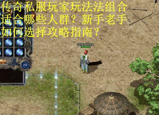 传奇私服玩家玩法法组合适合哪些人群？新手老手如何选择攻略指南？