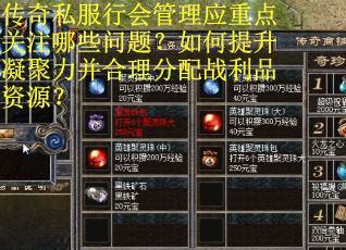 传奇私服行会管理应重点关注哪些问题？如何提升凝聚力并合理分配战利品资源？