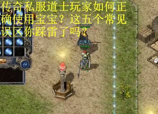 传奇私服道士玩家如何正确使用宝宝？这五个常见误区你踩雷了吗？