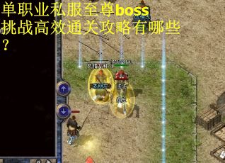 单职业私服至尊boss挑战高效通关攻略有哪些？