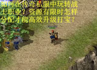 如何在传奇私服中玩转战士职业？资源有限时怎样分配才能高效升级打宝？