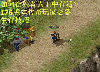 如何在胜者为王中存活？176版本传奇玩家必备生存技巧
