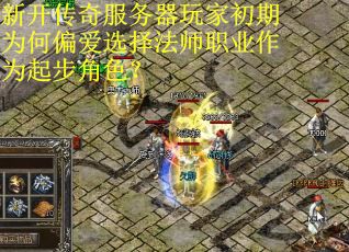 新开传奇服务器玩家初期为何偏爱选择法师职业作为起步角色？