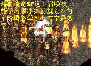 热血传奇SF道士召唤技能学习顺序如何规划？每个阶段必学哪个宝宝最效率？
