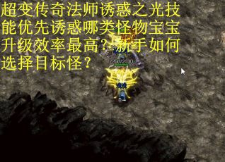 超变传奇法师诱惑之光技能优先诱惑哪类怪物宝宝升级效率最高？新手如何选择目标怪？