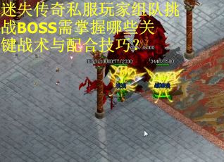 迷失传奇私服玩家组队挑战BOSS需掌握哪些关键战术与配合技巧？