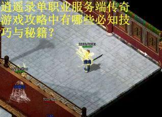 逍遥录单职业服务端传奇游戏攻略中有哪些必知技巧与秘籍？