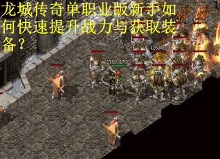 龙城传奇单职业版新手如何快速提升战力与获取装备？