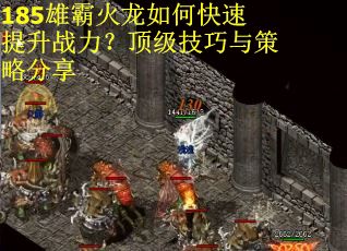 185雄霸火龙如何快速提升战力？顶级技巧与策略分享
