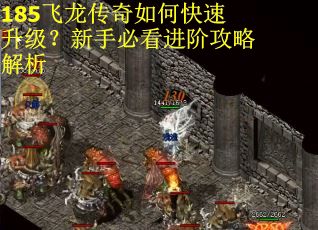 185飞龙传奇如何快速升级？新手必看进阶攻略解析