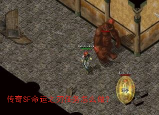 SF֮ô