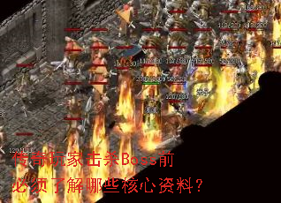 һɱBossǰ˽Щϣ