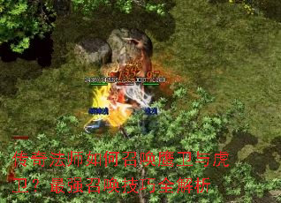 淨ʦٻӥ뻢ǿٻȫ