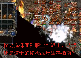 ѡְҵսʿʦǵʿռսָϣ