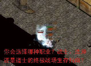 ѡְҵսʿʦǵʿռսָϣ