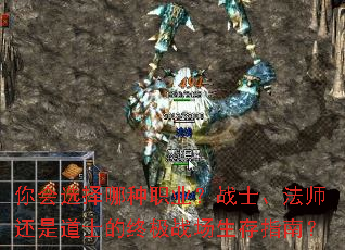 ѡְҵսʿʦǵʿռսָϣ