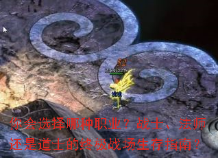 ѡְҵսʿʦǵʿռսָϣ