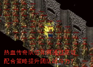 ѪͨЧϲŶս