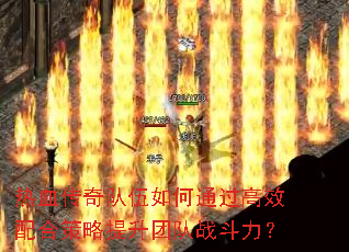 ѪͨЧϲŶս