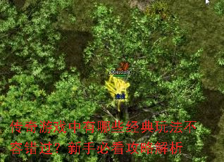 ϷЩ淨ݴֱؿԽ