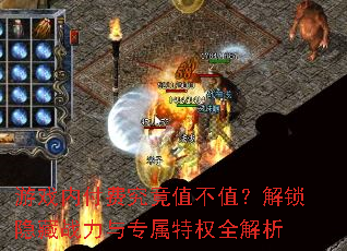 ϷڸѾֵֵսרȨȫ