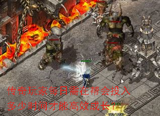 ÿڰͶʱܸЧɳ